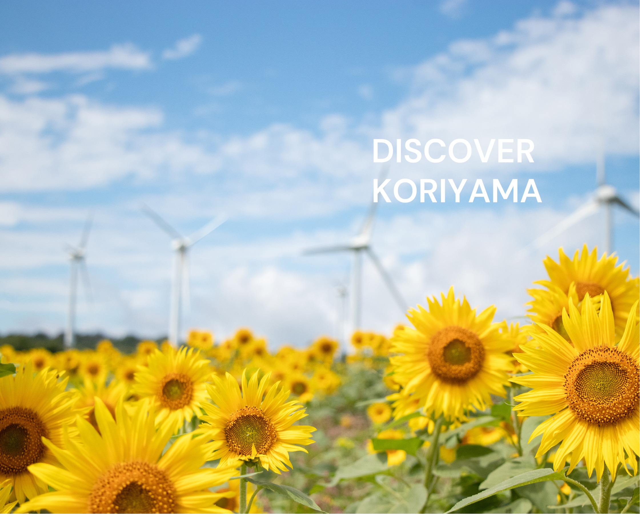 Discober Koriyama
